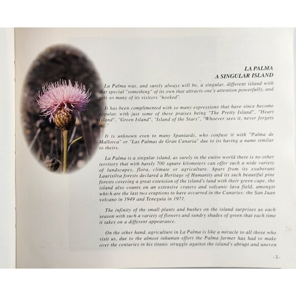 La Palma U Jardin Natural Book Juan José Santos Spain Photographs English Text - Picture 3 of 12